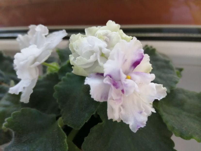  - Le Chateau Margaux