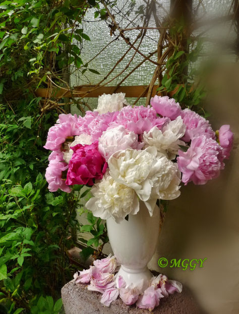 © - 01 - Floristica