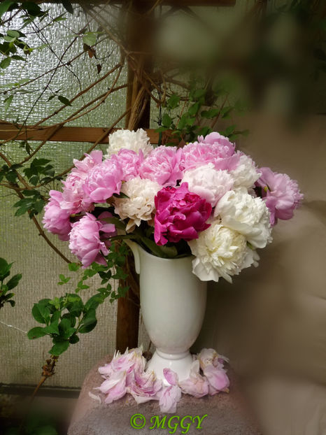 © - 01 - Floristica