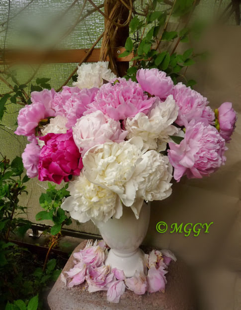 © - 01 - Floristica