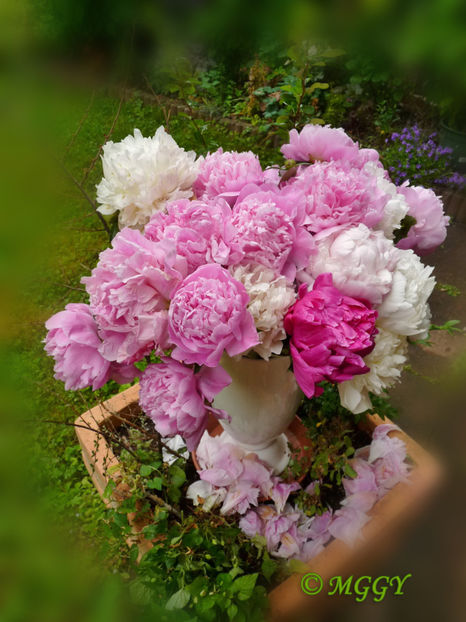 © - 01 - Floristica