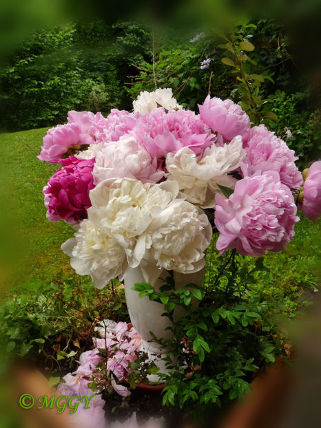 © - 01 - Floristica