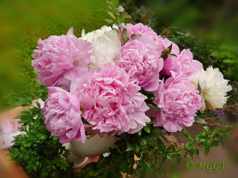 © - 01 - Floristica