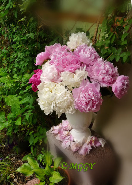 © - 01 - Floristica