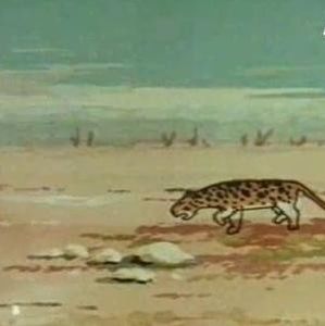 Scurta Istorie - Scurta Istorie 1957