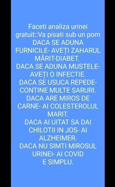 IMG-20200828-WA0010 - Divertisment