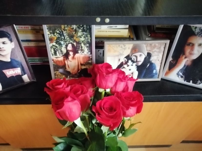  - Colecția mea de trandafiri