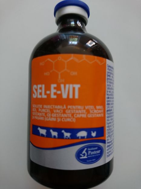 SEL-E-VIT INJ 100 ML 11 RON - SEL-E-VIT INJ 100 ML - 11 RON