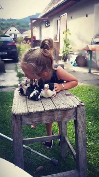 received_681239299131372 - Viitorul columbofil