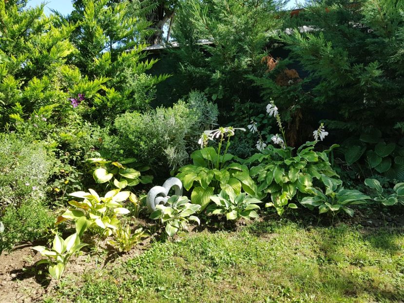  - 2020 Poiana Ciresului