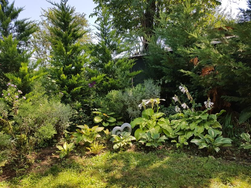  - 2020 Poiana Ciresului