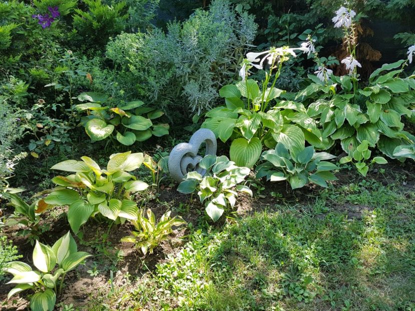  - 2020 Poiana Ciresului