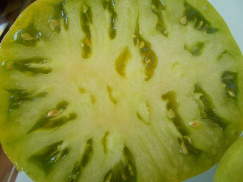  - SEMINTE ROSII - T 296 REINHARD S GREEN HEART