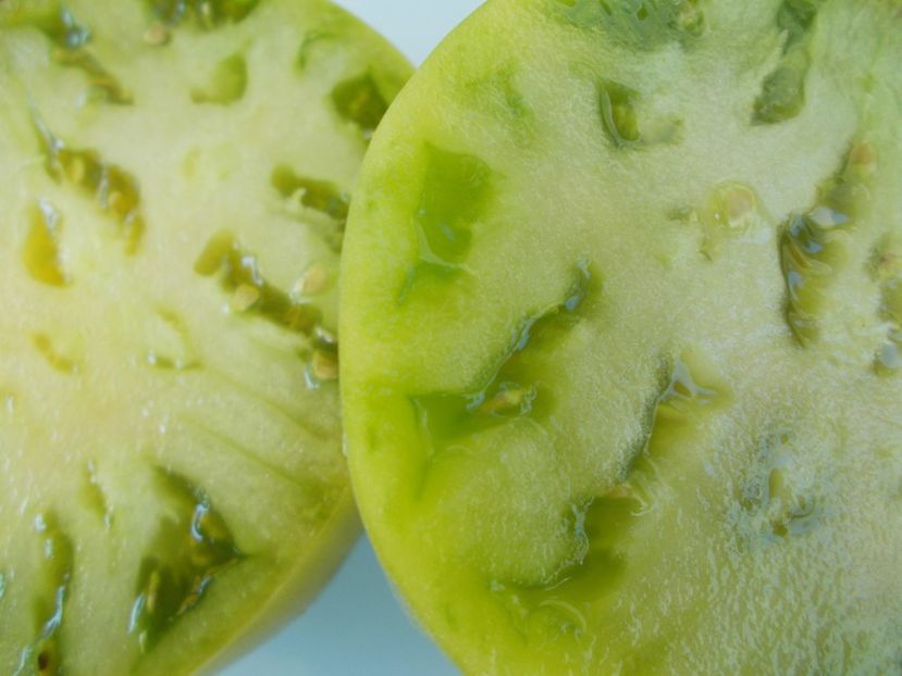  - SEMINTE ROSII - T 296 REINHARD S GREEN HEART