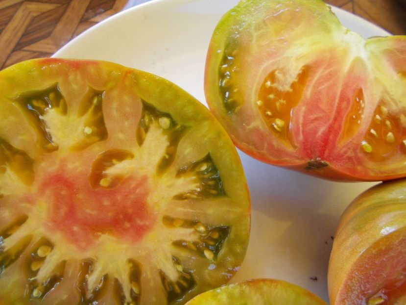  - SEMINTE ROSII - T 603 RENEGADE