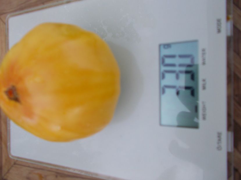  - SEMINTE ROSII - T 498 HUGE LEMON OXHEART