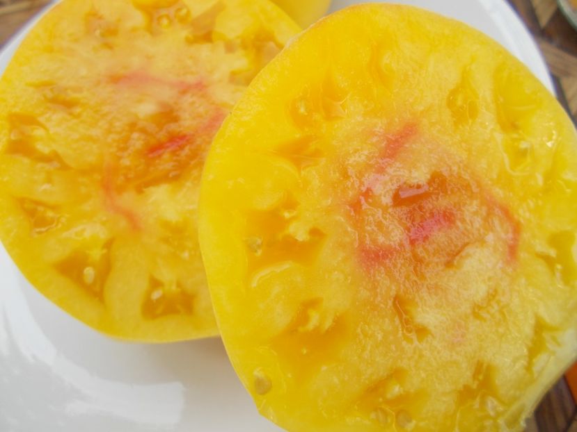  - SEMINTE ROSII - T 498 HUGE LEMON OXHEART