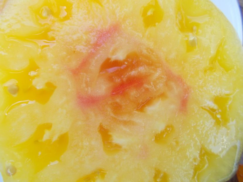  - SEMINTE ROSII - T 498 HUGE LEMON OXHEART