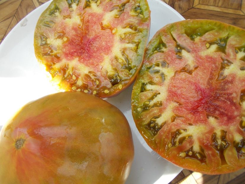  - SEMINTE ROSII - T 546 ANANAS HEART