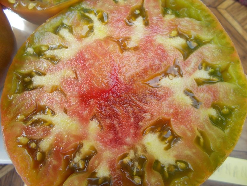  - SEMINTE ROSII - T 546 ANANAS HEART