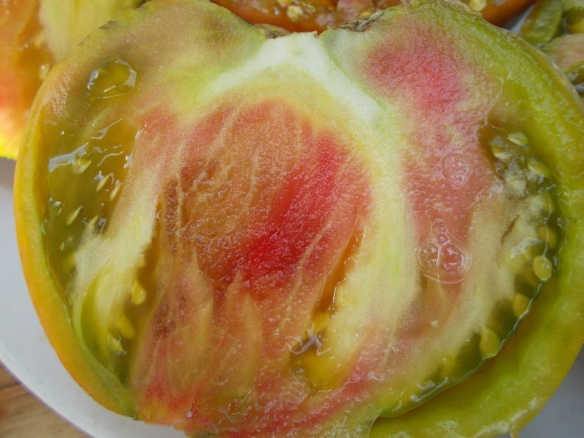  - SEMINTE ROSII - T 546 ANANAS HEART