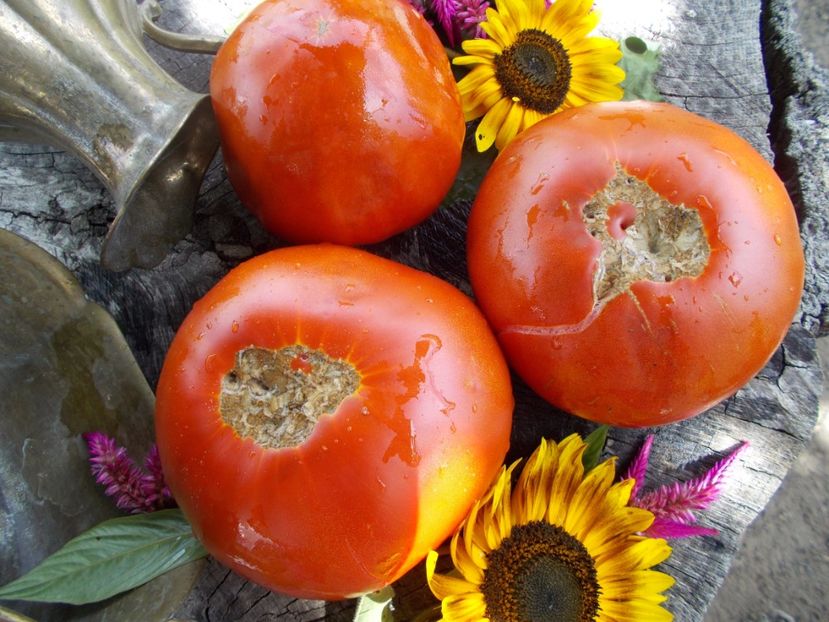  - SEMINTE ROSII - T 540 AZERBAYDZHANSKIY IZ BAKU I