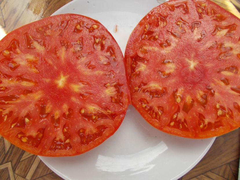  - SEMINTE ROSII - T 540 AZERBAYDZHANSKIY IZ BAKU I