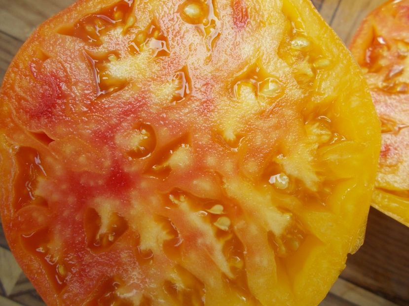  - SEMINTE ROSII - T 511 DAWSON RUSSIAN