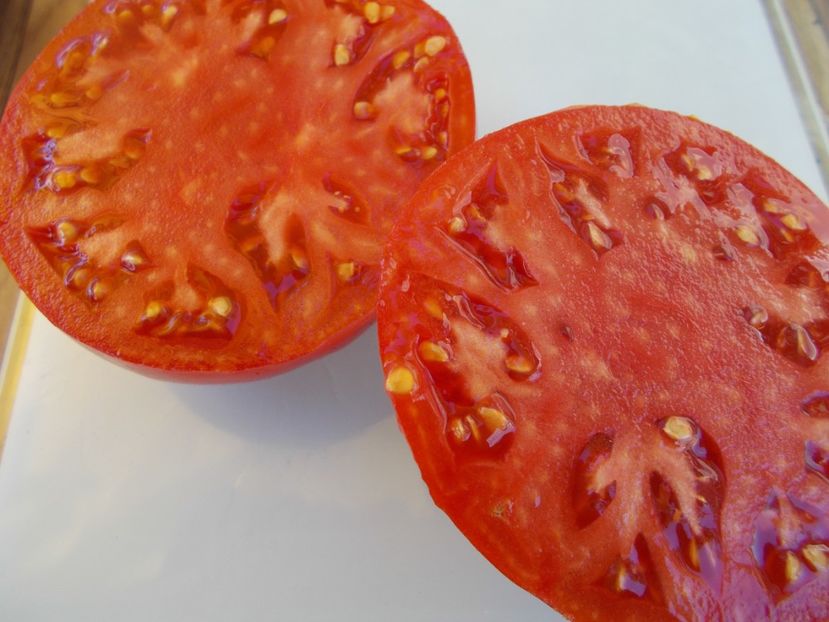  - SEMINTE ROSII - T 542 DELICIOUS ROT