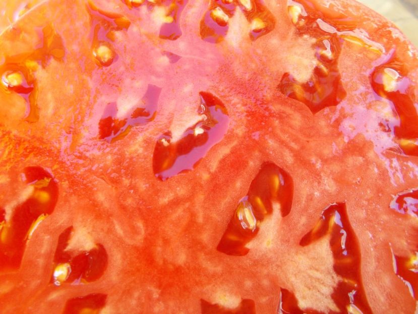  - SEMINTE ROSII - T 552 MALINOVKA BASHKIRSKAYA