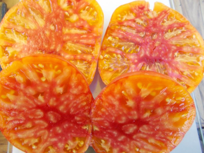  - SEMINTE ROSII - T 519 AMAZING GRACE