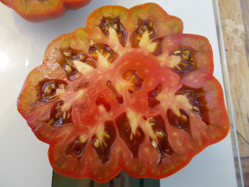  - SEMINTE ROSII - T 506 FLEUR DE REAGIR