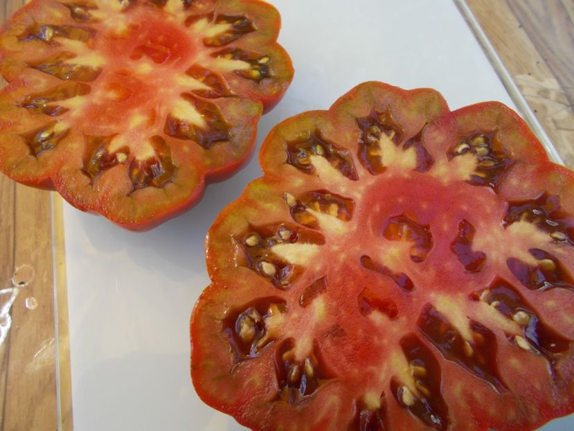  - SEMINTE ROSII - T 506 FLEUR DE REAGIR