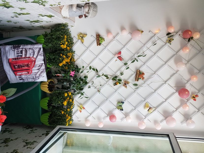  - Gradina din balcon