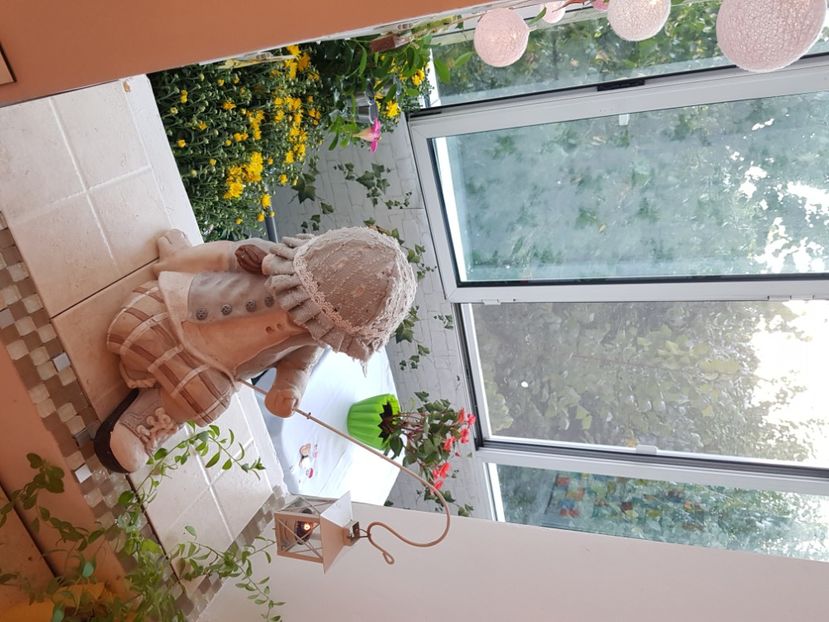  - Gradina din balcon