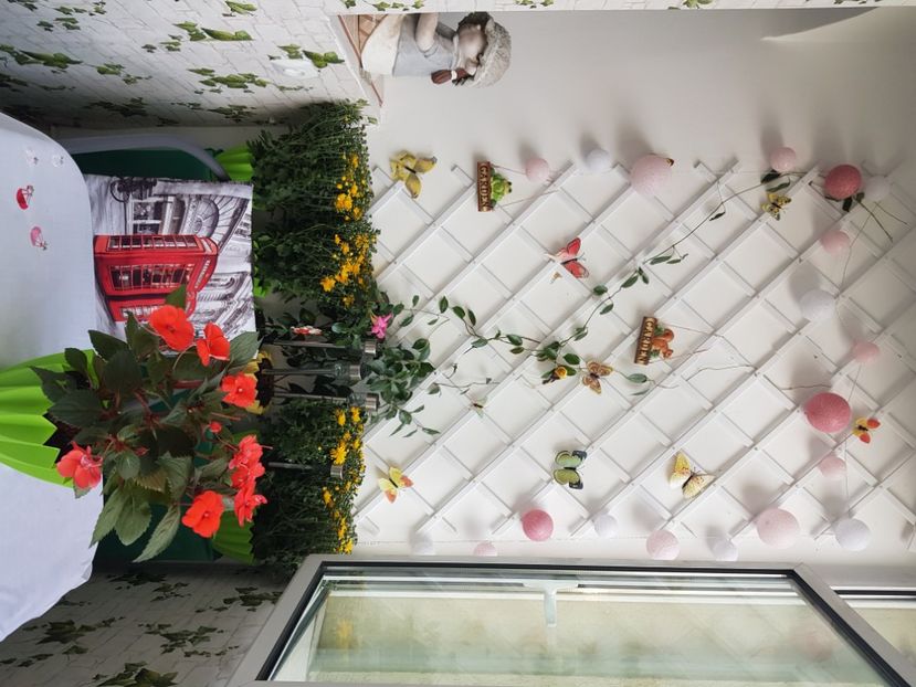  - Gradina din balcon