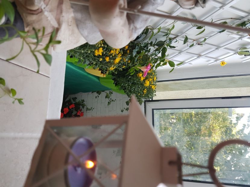  - Gradina din balcon
