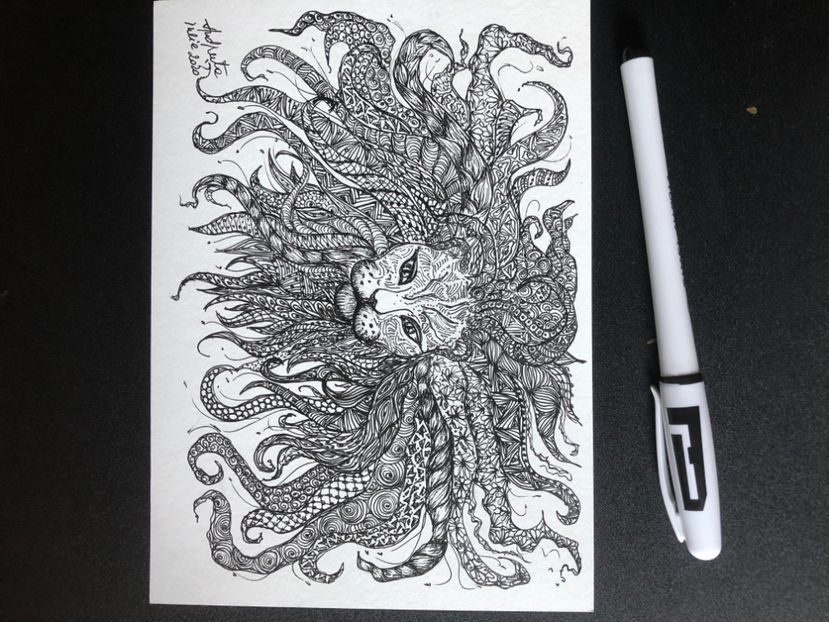 43DC7EEE-9067-48FC-A82F-3A4F5EAD72F8 - 0 DOODLE