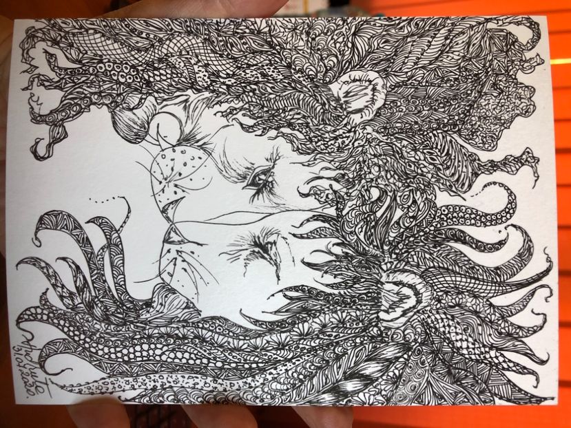 60BF747C-FF6C-4C30-AA9A-7C972394B5DD - 0 DOODLE