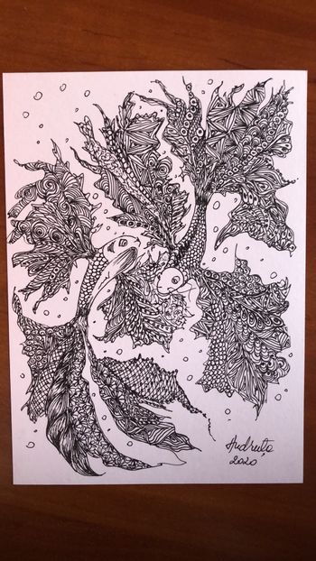 A2C5E607-B0E2-4BFC-9E2C-184698A91DD1 - 0 DOODLE
