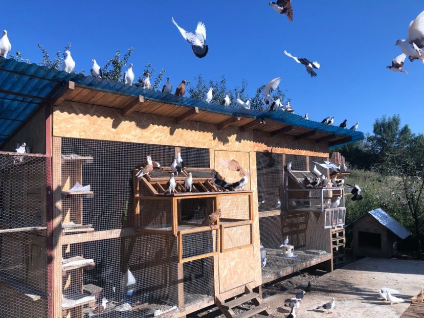  - 00000001 pe afară