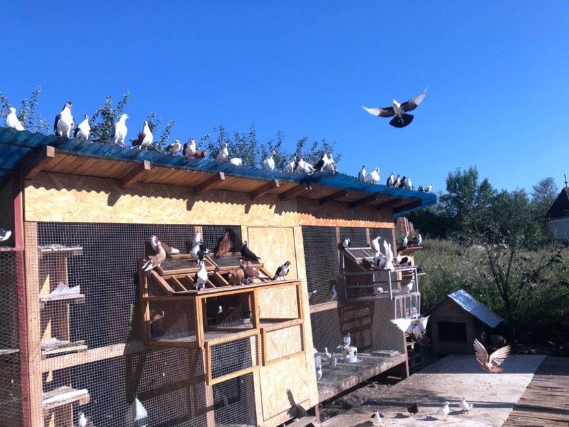  - 00000001 pe afară