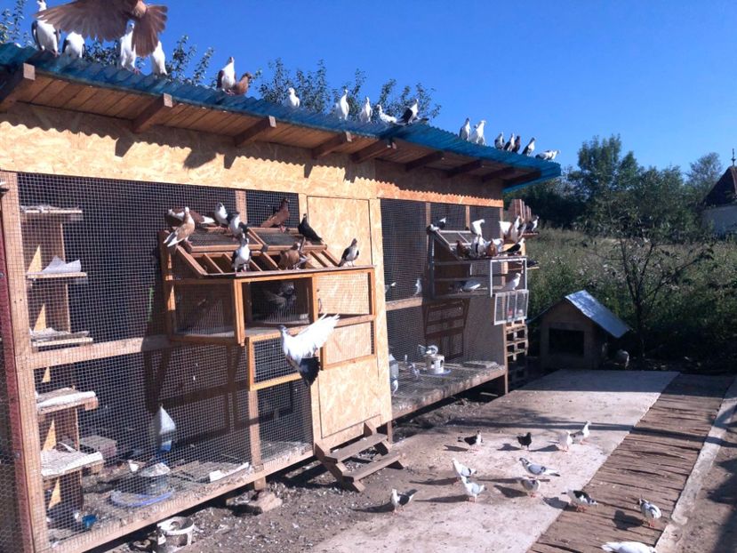  - 00000001 pe afară