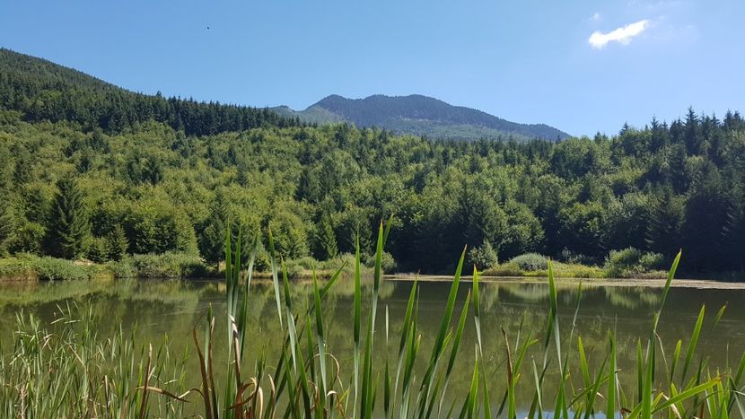  - Frumuseti in M-tii Bargaului 2020