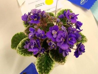 Definitely Darryl - 01 Disponibile Iunie 2021