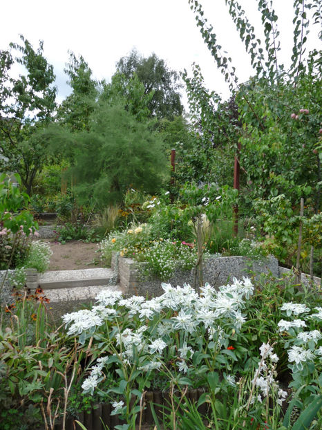  - 2020 - 03 - Toamna