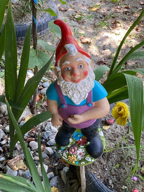 A924AD08-1123-45D0-B912-8D51B7FB1F7D - Achiziții grădina 2020