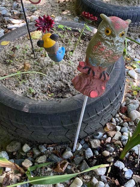 BDF6F00D-4579-4EAE-AB5E-D9D4CC32A24D - Achiziții grădina 2020