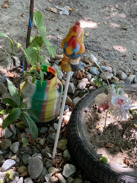 159427B0-1BBE-49BB-8EA5-6D427E4D8183 - Achiziții grădina 2020