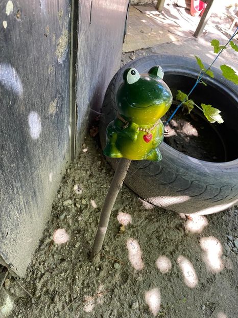 DB6C058B-E578-49D4-AE4A-167C3BE2FF8D - Achiziții grădina 2020